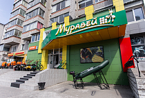 Муравей, г. Благовещенск, ул. Горького, 163